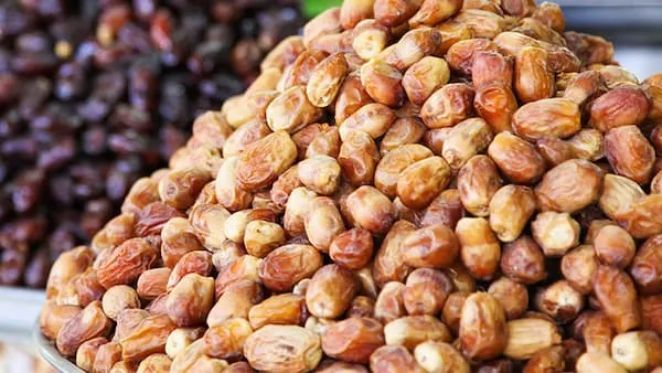 بهترین خرما زاهدی خشک + قیمت خرید عالی